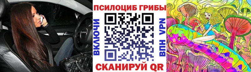 hydra онион  даркнет официальный сайт  Псилоцибиновые грибы прущие грибы  Сясьстрой 