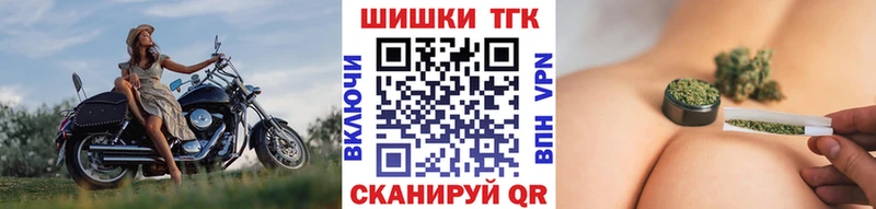 Шишки марихуана THC 21%  Сясьстрой 